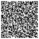 QR code with York Tobacco contacts