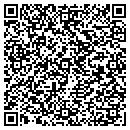 QR code with Costanza's Antique's & Collectibles contacts