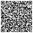 QR code with Blue Dome Gallery contacts