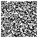 QR code with Curiosity's Canvas contacts