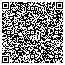 QR code with C D S Gallery contacts