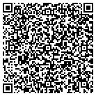 QR code with C P Fine Art Consultants contacts