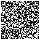 QR code with Carmack Surveying Inc contacts