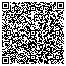 QR code with Projects Unlimited contacts