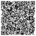 QR code with N Ploog contacts