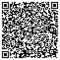QR code with Becos contacts