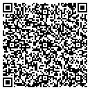 QR code with Pulse Construction contacts