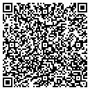 QR code with Professional Surveying contacts