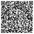 QR code with C Tgy contacts