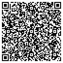 QR code with Puempel's Olde Tavern contacts