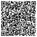 QR code with Tigris contacts