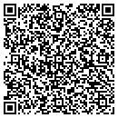 QR code with Blo Blow Dry Bar Inc contacts