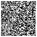 QR code with Pub Tel contacts