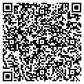 QR code with Patina contacts