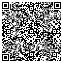 QR code with Blue Skies Gallery contacts