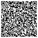 QR code with Public Art Nn contacts