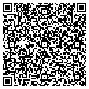 QR code with Carlson Surveys contacts