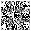 QR code with Punch Line contacts