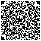 QR code with Pulse Audio Visual Control Inc contacts