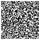 QR code with Pulse Audio Visual Control Inc contacts