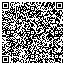 QR code with Costless Audio Sales contacts