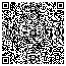 QR code with Premier Inns contacts