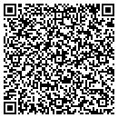 QR code with PULSE NIGHT CLUB contacts