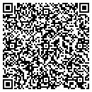 QR code with Costleigh Brian J MD contacts