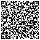 QR code with Professional Madduax contacts