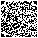 QR code with Precise Audio Design contacts