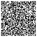 QR code with Presentation Systems contacts