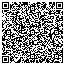 QR code with Pulse Audio contacts