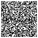 QR code with Pulse Custom Audio contacts