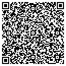 QR code with Capitol Audio Access contacts