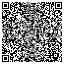 QR code with Cypress City Antiques contacts