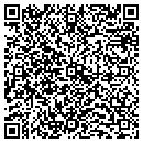 QR code with Professional Audio Systems contacts
