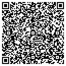 QR code with Precision Surveys contacts