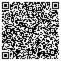 QR code with AIG contacts