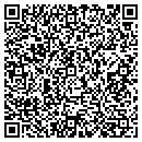 QR code with Price Low Audio contacts