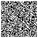 QR code with Blue Wire Electronics contacts