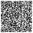QR code with Platinum Audio Concepts contacts