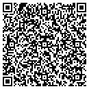 QR code with Pristine LLC contacts