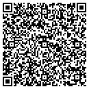 QR code with Pristine Audio contacts