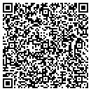 QR code with Blue Goose Antiques contacts