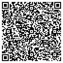 QR code with Precision Analytical contacts