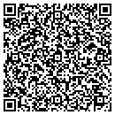 QR code with Pv Evolution Labs LLC contacts