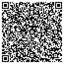 QR code with Pro Audio Li contacts