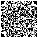QR code with Pulsar Audio Lab contacts