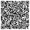 QR code with Cactus contacts