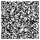 QR code with Chesaning Antiques contacts